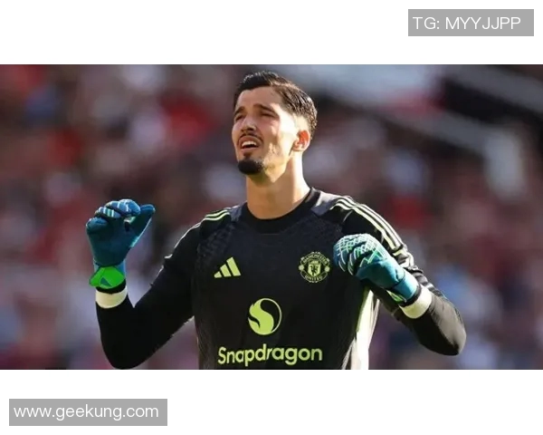 曼联引援反转名宿叫停三大目标推25悍将 曼联引援反转名宿叫停三大目标推25悍将